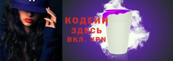 соль ск Кукмор