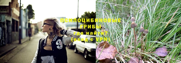 соль ск Кукмор