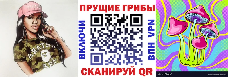 Галлюциногенные грибы Psilocybine cubensis  Лосино-Петровский 